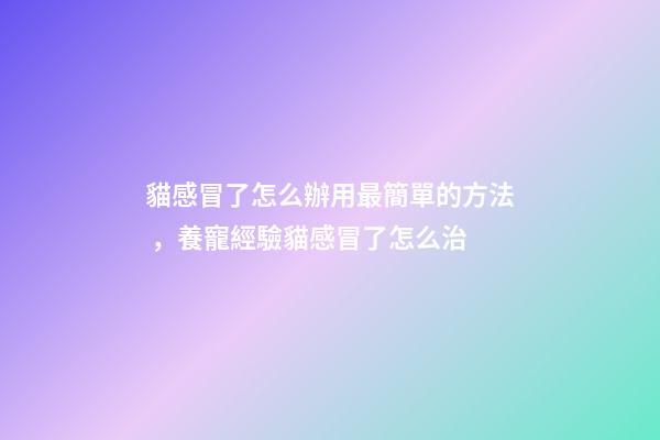 貓感冒了怎么辦用最簡單的方法，養寵經驗貓感冒了怎么治-第1張-觀點-玄機派